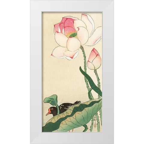 Lotus Flowers White Modern Wood Framed Art Print by Koson, Ohara