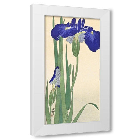 Irises White Modern Wood Framed Art Print by Koson, Ohara