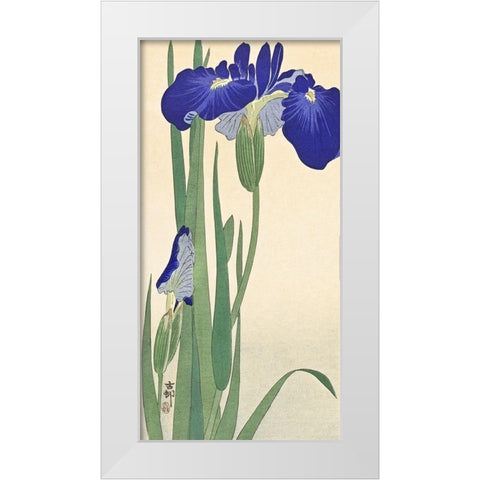 Irises White Modern Wood Framed Art Print by Koson, Ohara