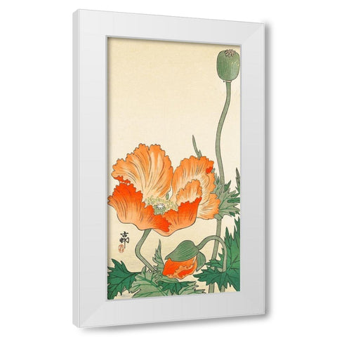Poppies White Modern Wood Framed Art Print by Koson, Ohara
