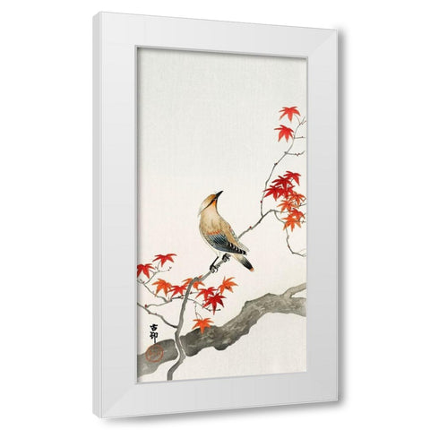 Japanese Jay on Maple White Modern Wood Framed Art Print by Anonymous