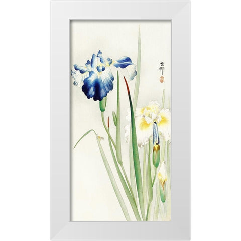 Irises White Modern Wood Framed Art Print by Koson, Ohara