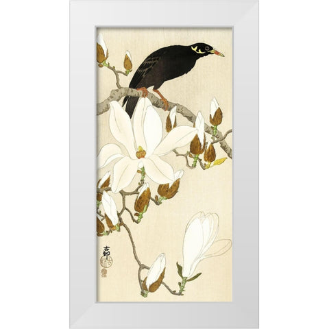 Myna on Magnolia Branch White Modern Wood Framed Art Print by Koson, Ohara