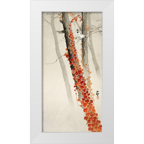 Red Ivy White Modern Wood Framed Art Print by Koson, Ohara