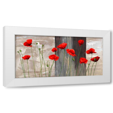 Country Poppies White Modern Wood Framed Art Print by Thomlinson, Jenny