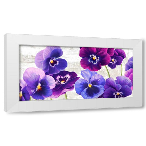 Dance of Pansies White Modern Wood Framed Art Print by Thomlinson, Jenny