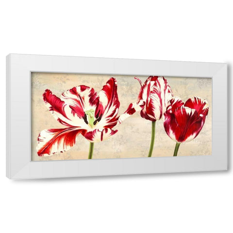 Tulipes Royales White Modern Wood Framed Art Print by Villa, Luca