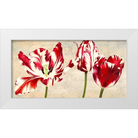 Tulipes Royales White Modern Wood Framed Art Print by Villa, Luca