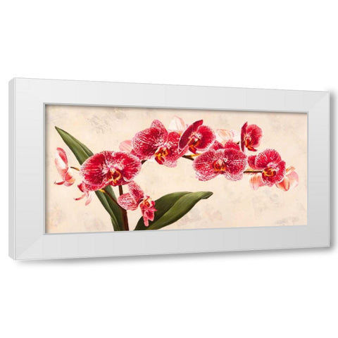 Purple Queens White Modern Wood Framed Art Print by Villa, Luca