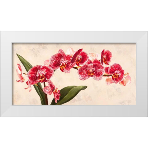 Purple Queens White Modern Wood Framed Art Print by Villa, Luca