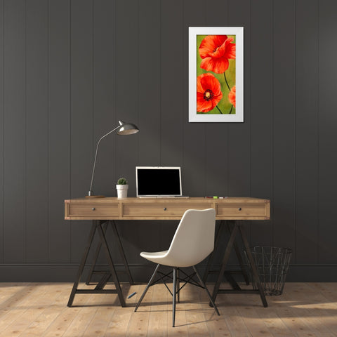 Poppies in the wind I White Modern Wood Framed Art Print by Villa, Luca