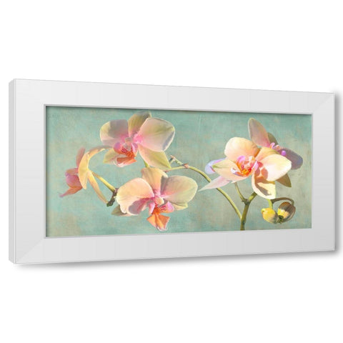 Jewel Orchids White Modern Wood Framed Art Print by Villa, Luca
