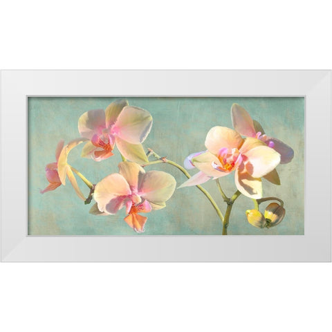 Jewel Orchids White Modern Wood Framed Art Print by Villa, Luca