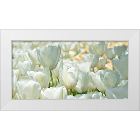 Field of White Tulips White Modern Wood Framed Art Print by Villa, Luca