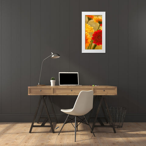 Gerbere nel sole II White Modern Wood Framed Art Print by Biffi, Serena