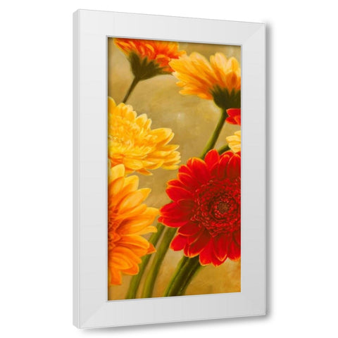Gerbere nel sole II White Modern Wood Framed Art Print by Biffi, Serena