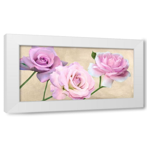 Rose classiche White Modern Wood Framed Art Print by Biffi,  Serena