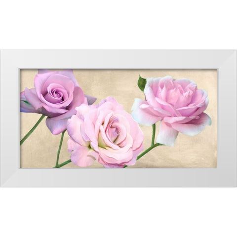 Rose classiche White Modern Wood Framed Art Print by Biffi,  Serena