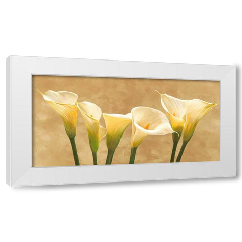 Calle bianche White Modern Wood Framed Art Print by Biffi, Serena