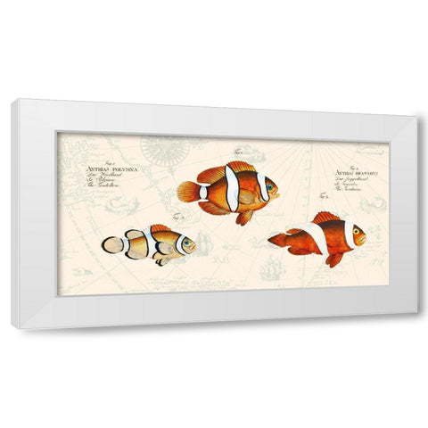 Tropical fish I- After Bloch White Modern Wood Framed Art Print by Lamanche, Stef