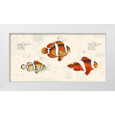 Tropical fish I- After Bloch White Modern Wood Framed Art Print by Lamanche, Stef
