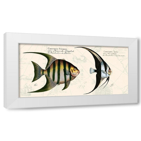 Tropical fish II-  After Bloch White Modern Wood Framed Art Print by Lamanche, Stef