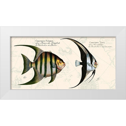 Tropical fish II-  After Bloch White Modern Wood Framed Art Print by Lamanche, Stef