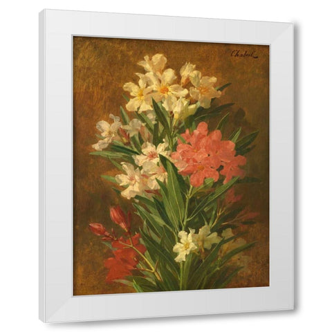 Rot und weiss bluhender Oleander White Modern Wood Framed Art Print by Chabal-Dussergey, Pierre Adrien