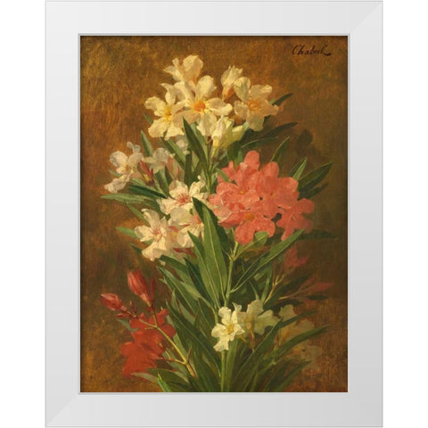 Rot und weiss bluhender Oleander White Modern Wood Framed Art Print by Chabal-Dussergey, Pierre Adrien