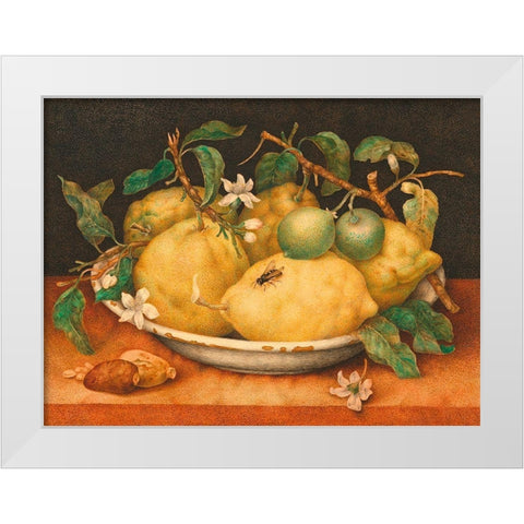 Natura morta con cedri White Modern Wood Framed Art Print by Giovanna, Garzoni