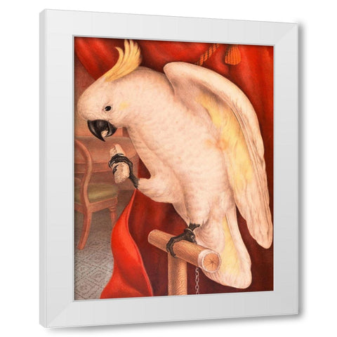 Great Sulphur-Crested Cockatoo White Modern Wood Framed Art Print by James Whitley, Sayer