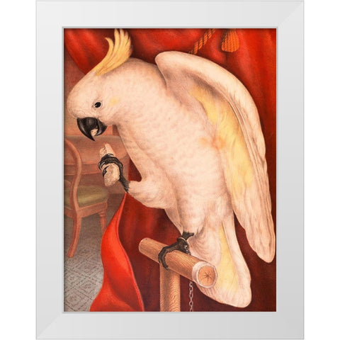 Great Sulphur-Crested Cockatoo White Modern Wood Framed Art Print by James Whitley, Sayer