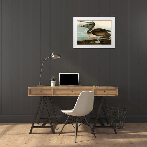 Brown Pelican White Modern Wood Framed Art Print by John James, Audubon