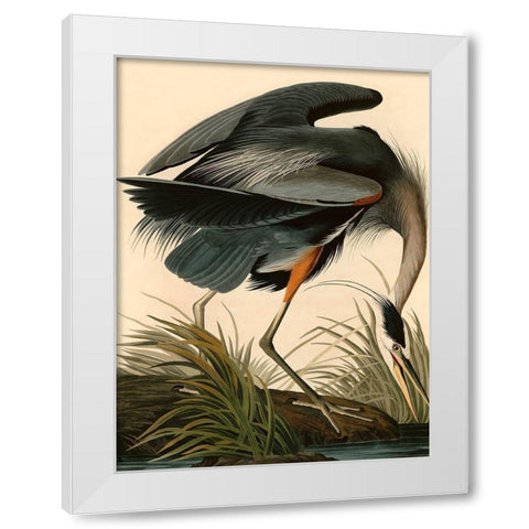 Great Blue Heron White Modern Wood Framed Art Print by John James, Audubon