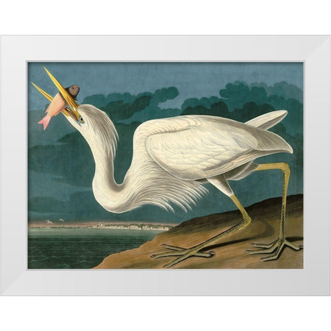 Great White Heron White Modern Wood Framed Art Print by John James, Audubon