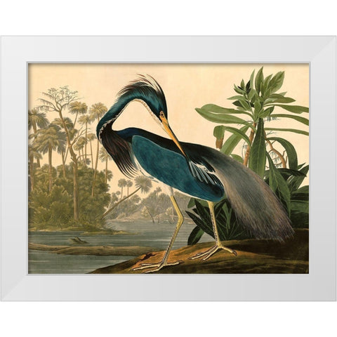 Louisiana Heron White Modern Wood Framed Art Print by John James, Audubon