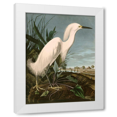 Snowy Heron or White Egret White Modern Wood Framed Art Print by John James, Audubon