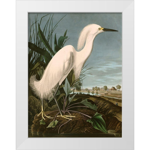 Snowy Heron or White Egret White Modern Wood Framed Art Print by John James, Audubon