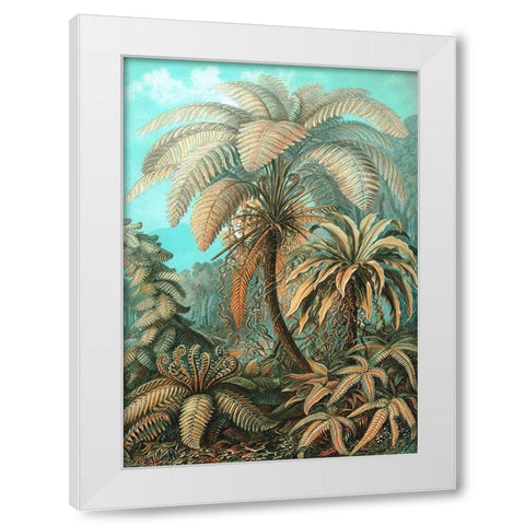 Filicinae White Modern Wood Framed Art Print by Haeckel, Ernst
