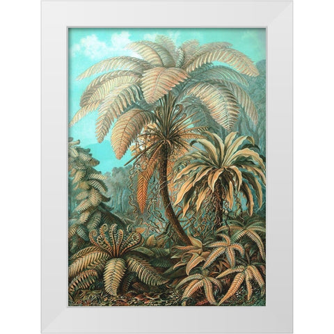 Filicinae White Modern Wood Framed Art Print by Haeckel, Ernst