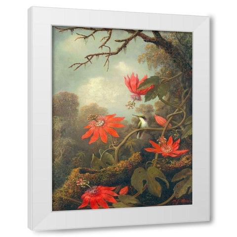 Hummingbird and Passionflowers White Modern Wood Framed Art Print by Heade, Martin Johnson