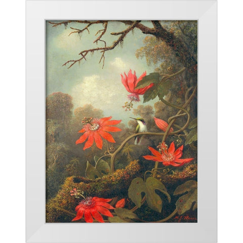 Hummingbird and Passionflowers White Modern Wood Framed Art Print by Heade, Martin Johnson