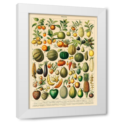 Fruits and Vegetables White Modern Wood Framed Art Print by Millot, Adolphe