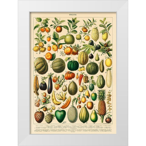 Fruits and Vegetables White Modern Wood Framed Art Print by Millot, Adolphe