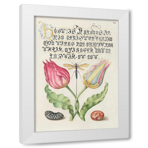 From the Model Book of Calligraphy-I White Modern Wood Framed Art Print by Hoefnagel, Bocskay
