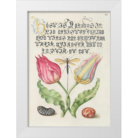 From the Model Book of Calligraphy-I White Modern Wood Framed Art Print by Hoefnagel, Bocskay