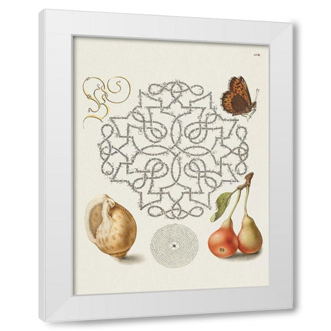From the Model Book of Calligraphy-IV White Modern Wood Framed Art Print by Hoefnagel, Bocskay