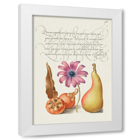 From the Model Book of Calligraphy-VIII White Modern Wood Framed Art Print by Hoefnagel, Bocskay