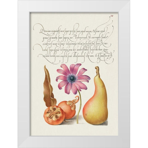 From the Model Book of Calligraphy-VIII White Modern Wood Framed Art Print by Hoefnagel, Bocskay
