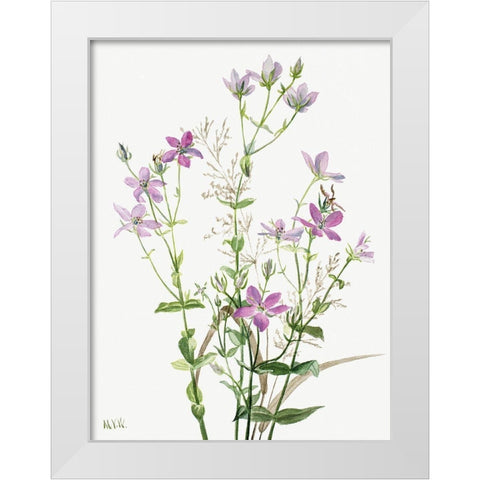 Sabbalia angularis-1880 White Modern Wood Framed Art Print by Walcott, Mary Vaux